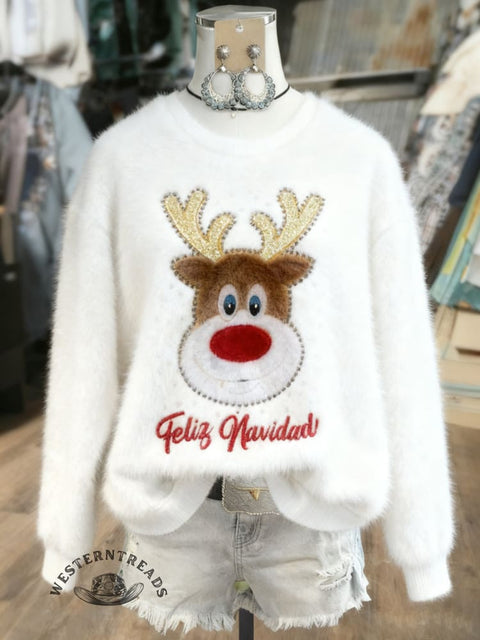 Christmas Fall/Winter Warm Plush Sweatshirt