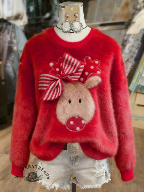 Christmas Fall/Winter Warm Plush Sweatshirt